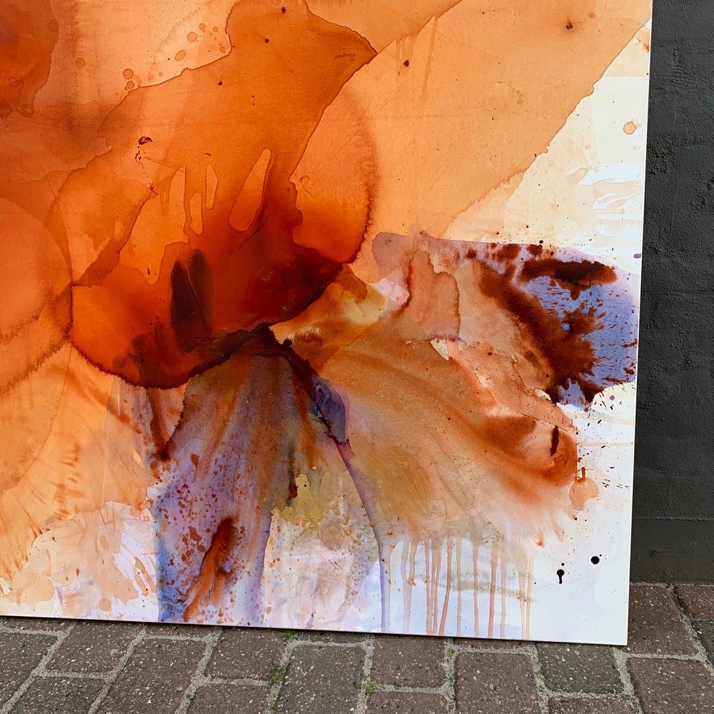 Watch it - 1,8 x 1,8 m