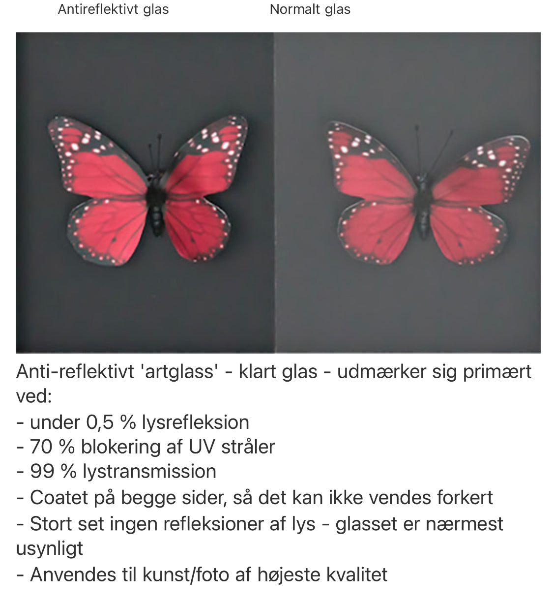 Indramning i egetræ med almindelig glas